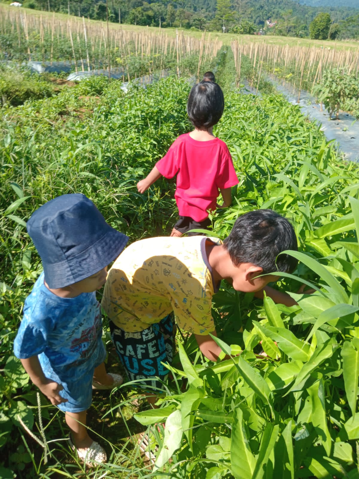 Bermain di Taman Outdoor