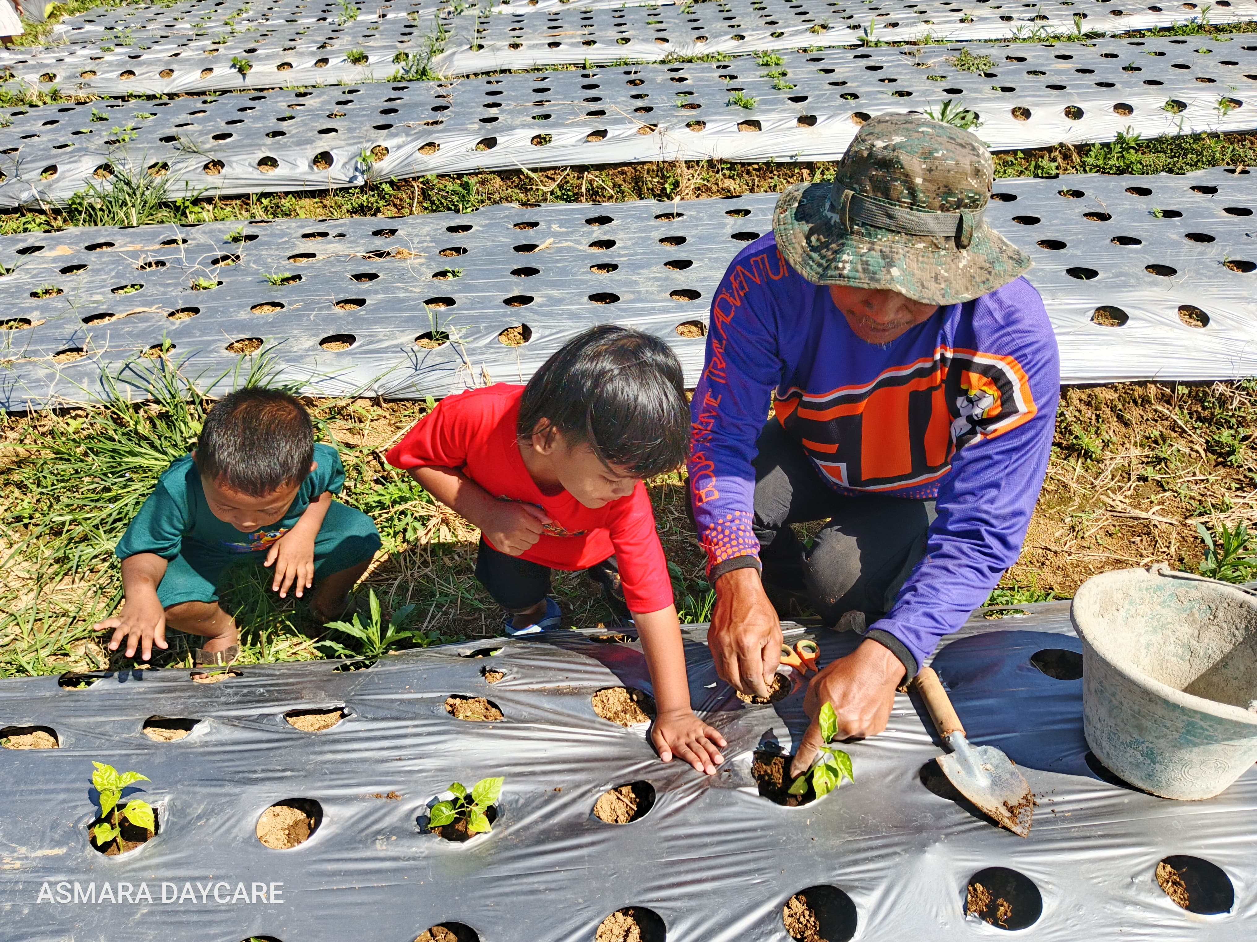 Kelas Musik Interaktif